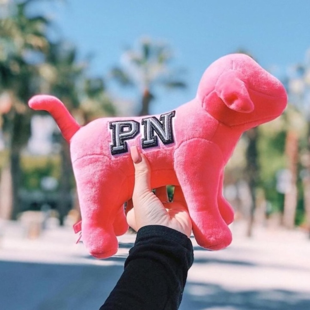 MAJOR SAVINGS✨PINK NATION PLUSH DOG